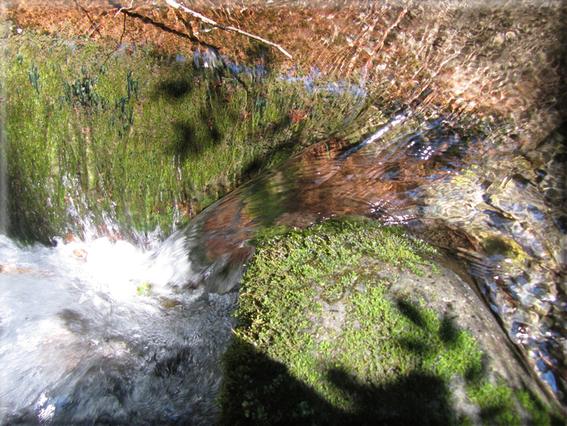 foto Cascate in Val Carazzagno